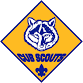 Cub Scout-Real Food CT Food Drive event in Newtown, CT