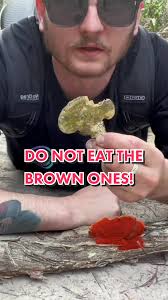 KYLE DEE (@kyle_dee_1)