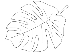 Colora online gratis il disegno palm leaf. Coloring Pages Palm Leaf Coloring Page