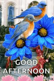 You can click on any glitter image to open specific good afternoon gif detail page. Afternoon Gifs Tenor