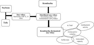 Use Of Kombucha Consortium To Transform Soy Whey Into A