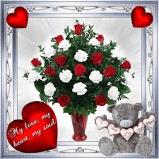 The annual blooms for just a season, and then winter arrives and takes it out for good. Love Quotes Relationship Cute Heart Drawings Novocom Top