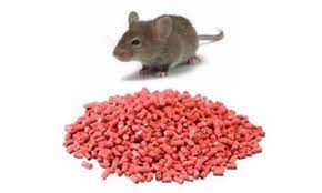 Best Rat Poisons What S It Made Of G3 Adventures
