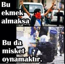 Erdoğan ayrıca berkin elvan'ın annesini ve babasını da kalabalığa yuhalattı. Berkin Elvan In Boru Gibi Terorist Olmasi Uludag Sozluk