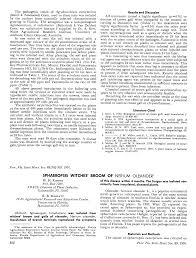 Image result for Sphaeropsis tumefaciens oleander symptoms