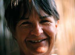 Rhino Solstice Party