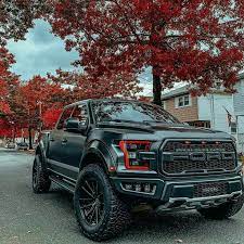Pin By Maria Fernanda Vargas On Maria Ford Raptor Ford Pickup Ford Pickup Trucks