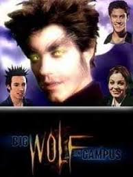 Come on, I can't be the only one who remembers this show..