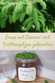 Tannen Und Fichtenspitzen Sirup Einfach Zubereiten Kostlich Kostbare Natur Tannen Hustensirup Sirup