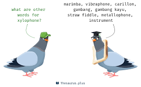 10 Xylophone Synonyms Similar Words For Xylophone