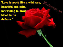 Pin By Michelle Warrick On Love Quotes Single Red Rose Beautiful Red Roses Red Rose Pictures