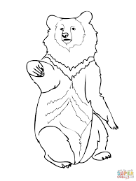 Asia Black Bear Super Coloring Bear Coloring Pages Monster Coloring Pages Teddy Bear Coloring Pages