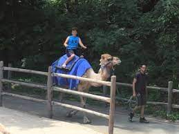 I suspect that there are other the aza accredits more than 200 zoos in the u.s., including the bronx zoo. The Bronx Zoo New York Family Adventures