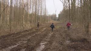 Las or las may stand for: Wycieto Las Na Ich Dzialce Nikt Nie Pytal O Zgode Interwencja
