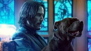 John wick movie reviews & metacritic score: Classified Nach John Wick 4 Chad Stahelski Dreht Thriller Fur New Line Blairwitch De