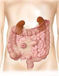 Gastroenterostomia), które co prawda też można zakwalifikować jako stomie, ale które. Operacja Wylonienia Urostomii Convatec