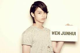 Seventeen Profile Members Wen Junhui Profile Facts Seventeen Kpop Seventeen Junhui Seventeen