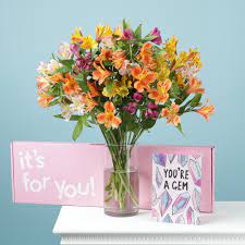 Check spelling or type a new query. Flowers Plants Letterbox Flowers Next Day Delivery Moonpig