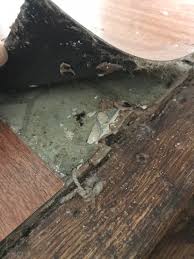 You'll find a beautiful, original, 1920s maple hardwood floor buried under layers of vinyl or linoleum, plus a nasty layer of linoleum adhesive that has been pressed into the hardwood floor below by years of foot traffic. Is There Any Chance That This Old Linoleum Tile Crap Was Glued Down Using Asbestos I Ve Heard This Used To Be Done In Older Houses So I M Debating Just Going Right Over This With