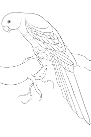 Free, printable coloring pages for adults that are not only fun but extremely relaxing. Bird Coloring Pages For Kids Fun Printable Coloring Pages Of Our Feathered Friends Printables 30seconds Mom