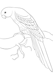 Bird coloring pages to print. Bird Coloring Pages For Kids Fun Printable Coloring Pages Of Our Feathered Friends Printables 30seconds Mom