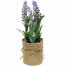 We did not find results for: Mini Lavender In A Pot Artificial Plants Artificial Lavender Decoration 801146 Buy Online
