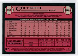 Image result for Grace Silver 1989 Colt