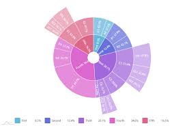 sunburst chart amcharts