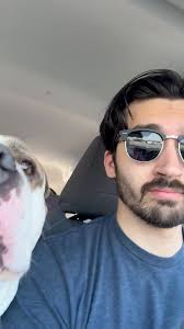 Tubby Wubby heard there was another office that needed his “management”  skills 😂 so we hopped in the car and away we went! 🥰❤️ Tubby was very  good in the car, but he does need to work