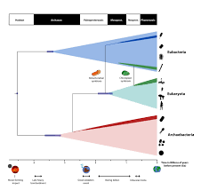 A Timescale For The Origin And Evolution Of All Of Life On Earth