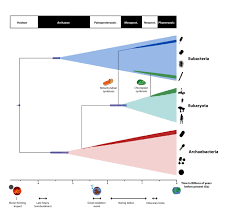 a timescale for the origin and evolution of all of life on earth