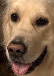 Hi guys is Happy Place and Funny Story by Emily Henry any good ?