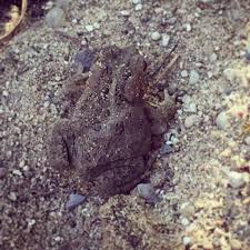 Kim Benge (@benge_kim)