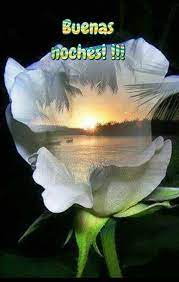 Pin De Yamilka Nieves En Buenas Noches Saludos De Buenas Noches Mensajes De Buenas Noches Buenas Noches Frases
