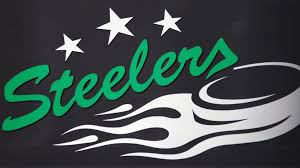 Weitere interessante serienformen rund um die eishockey mannschaft bietigheim steelers Keine Lizenz Fur Die Bietigheim Steelers Kicker