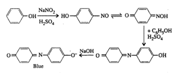 Test For Phenolic Group Chemistry Practicals Class 12