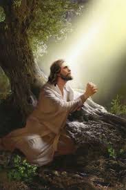 In Gethsemane Jesus Praying Jesus Pictures Of Jesus Christ
