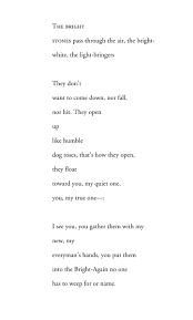 Paul Celan: Making the Stones Sing