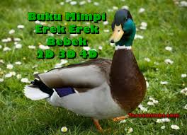 Erek erek 15 dalam buku mimpi dan kode alam | angka main nomor 11 untuk kode alam maupun erek erek yang ada di dalam buku mimpi, di lambangkan dengan hewan tikus, yakni hewan yang bisa dibilang dekat dan akrab dengan manusia.figur atau tokoh yang bernaung yakni adalah hakim, untuk benda / barang yang bernaung di angka main 11 ini adalah sekrup. S4e9asrj3joz M