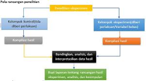 Rancangan penelitian biologi kelas 10. Cara Membuat Rancangan Penelitian Yang Baik Dan Benar Biologi Edukasi Belajar Sains Biologi
