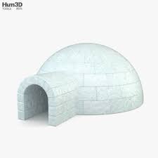 Igloo In 2020 3d Model Igloo Architecture