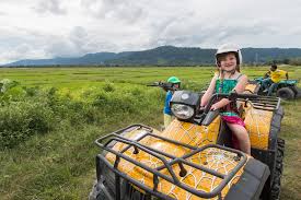 Every friday night, there's a night market (or maybe more of an afternoon / evening market) in an area called ayer hangat. Top 15 Things To Do In Langkawi With Kids