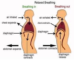 Heartburn: Cause, Cure And Exercises | Liebscher & Bracht