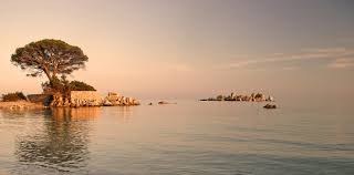 We did not find results for: Wallpaper Landscape Sunset Sea Shore Reflection Sky Beach Sunrise Calm Tourism Evening Morning Coast Magic Sun Horizon Nikon Dusk Corsica Vacation Cloud Tree Dawn Ocean Seaside Soleil Corse Plage Magica Tropics