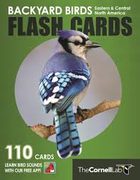 Here are a few unique ideas that are sure to please the birder on your gift list. Backyard Birds Flash Cards Eastern Central North America Princeton University Press