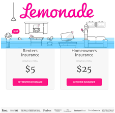 Umbrella policy liability insurance that can be added when a client's homeowner's or renter's and auto insurance are handled by the same insurer. Lemonade Renters Homeowners Insurance Free 20 Amazon Gift Card