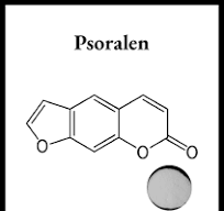 Premium Bulk Psoralen Powder Supplier | Nutri Avenue