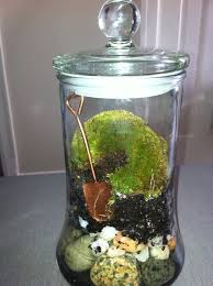Pin By Lynn H On Decor Ideas Reuse Candle Jars Candle Jars Terarium