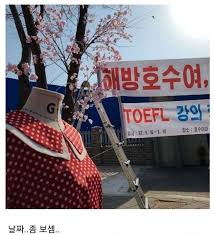 최근 셀레나고메즈와의 콜라보 아이스크림으로 컴백한 블랙핑크, 최근 블랙핑크 지수의 새로운 소식이 들려왔습니다. Vzkwvsivmjawvm