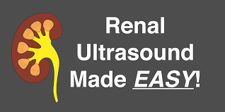 Spilling The Beans: An Inside Scoop On The Imaging Of Renal Parenchymal  Disease. - Abstract - Europe Pmc